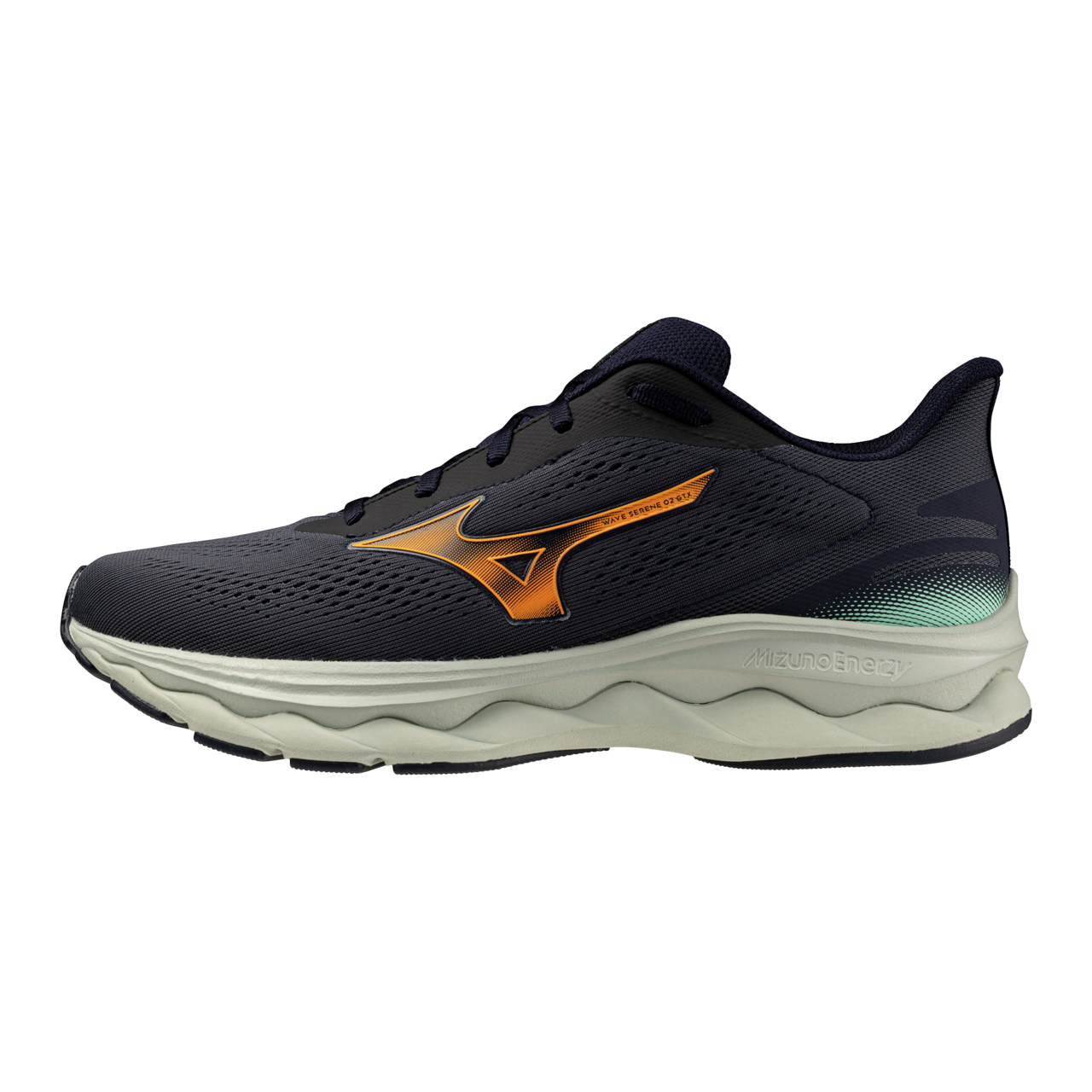 Chaussures Mizuno WAVE SERENE 2 GTX